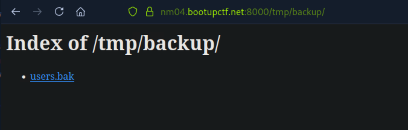 backup
